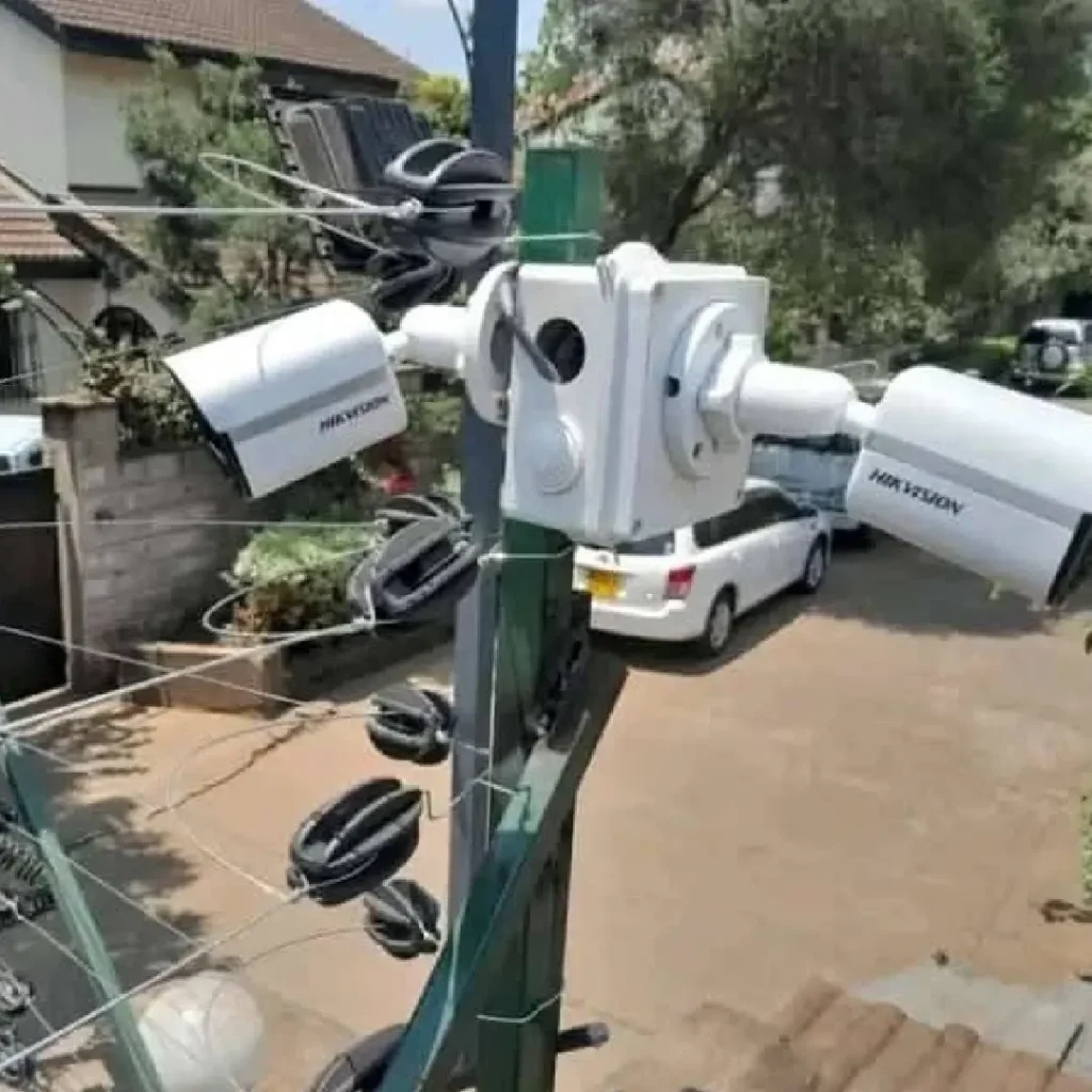 yoto pictures 02 (1)